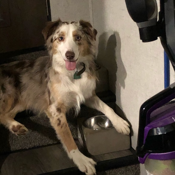 Meet your Posher, Amanda - Picture 6 of 6